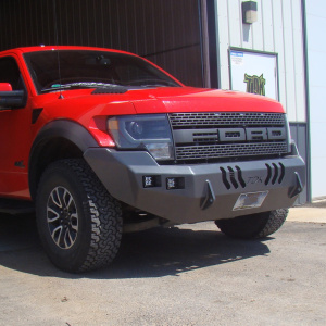 2010-2014 Raptor